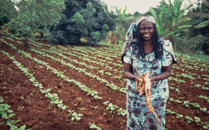 Wangari Maathai, primera mujer africana en recibir el premio Nobel de la Paz y embajadora medioambiental
