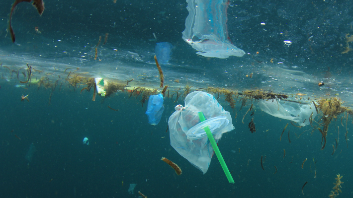 Contaminación del mar: Causas y consecuencias | Blog de Ecólatras Contaminación del mar: Causas y consecuencias | Blog de Ecólatras
