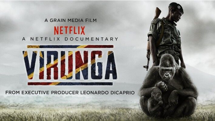 Los mejores documentales sobre medioambiente en Netflix