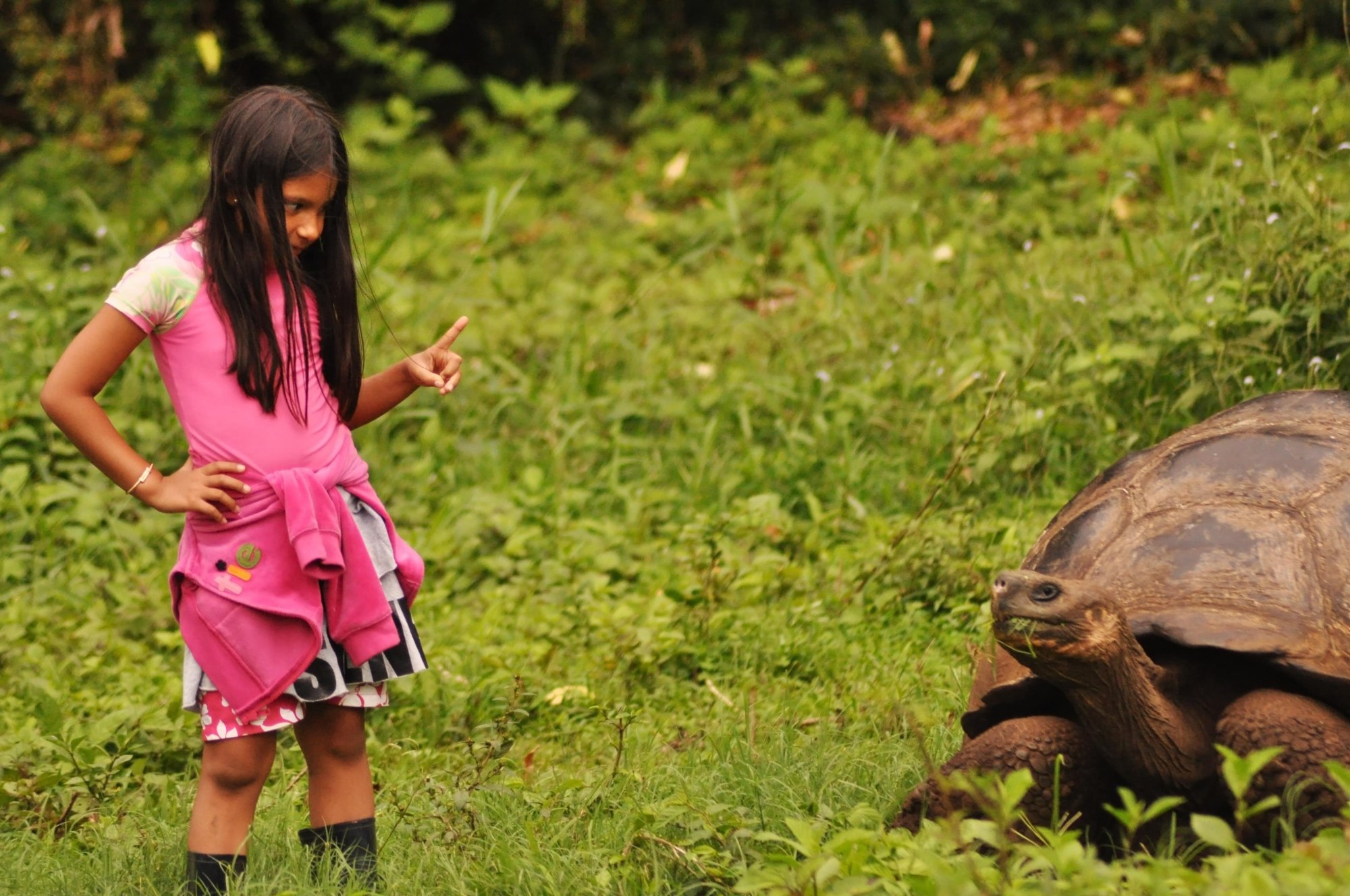 ecoturismo internacional