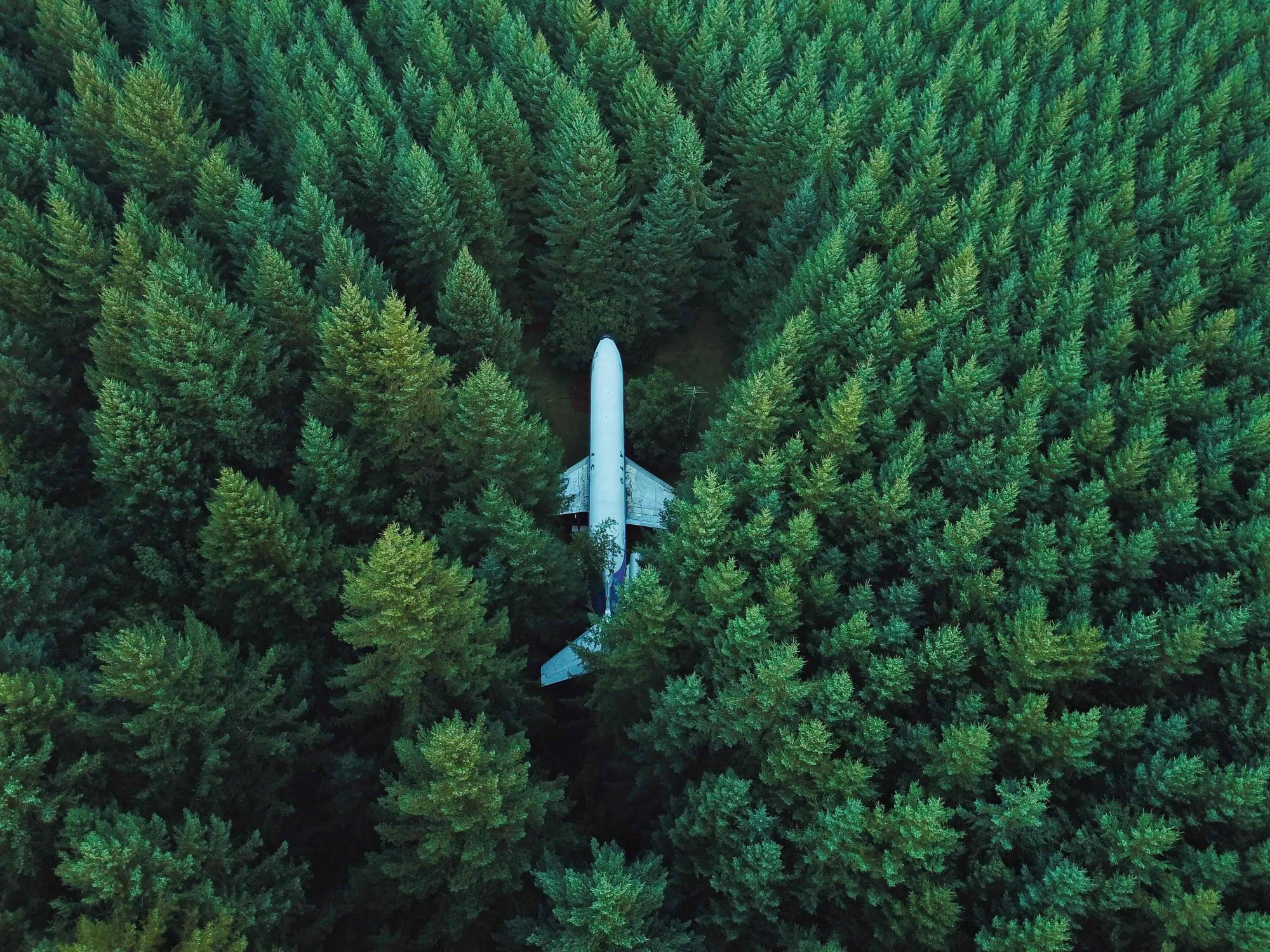 avión en mitad del bosque parado | viajes sostenibles 