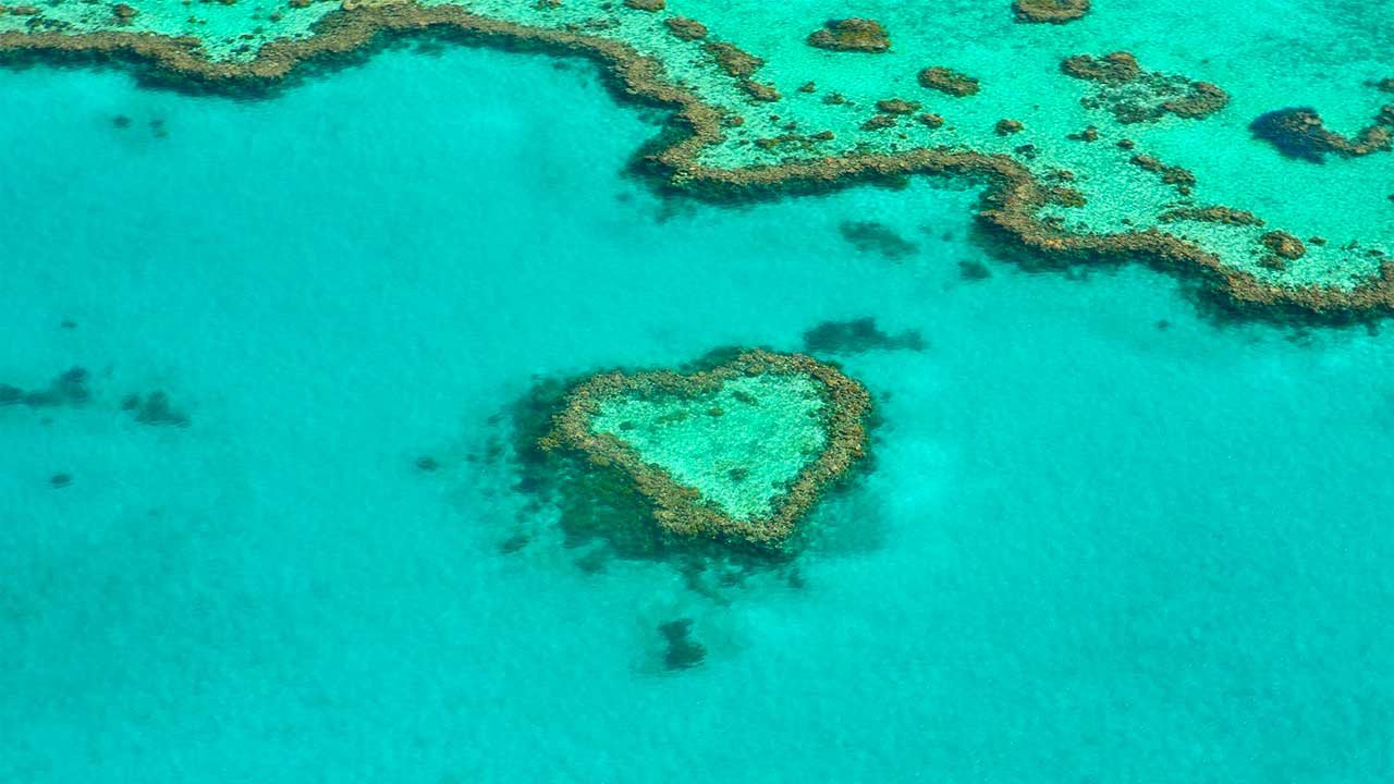 Gran barrera coral en Australia