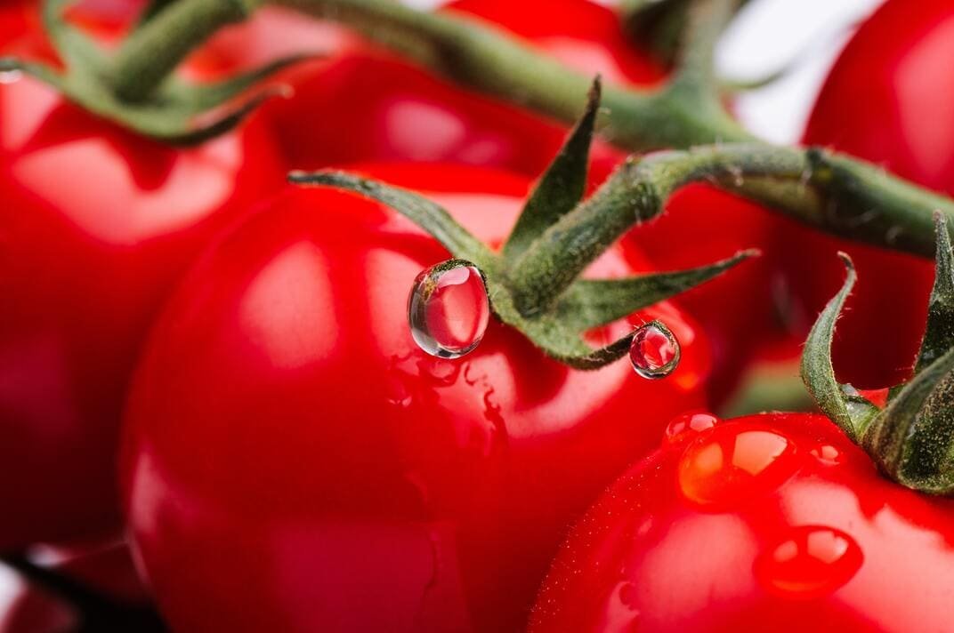 tomates
