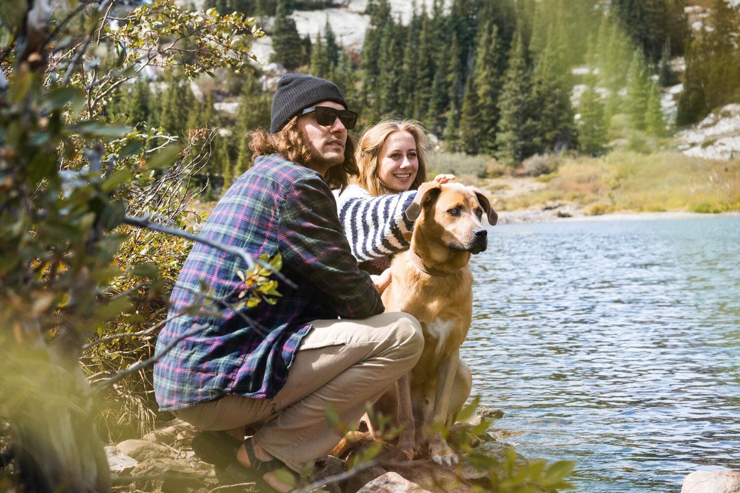 respeto a los animales en familia