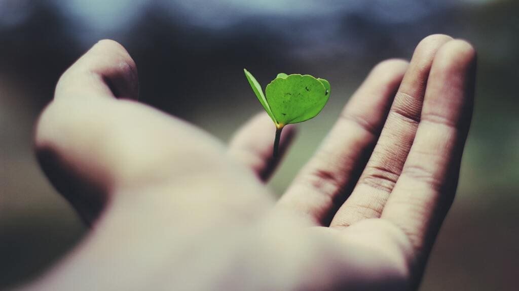 huella de carbono medio ambiente