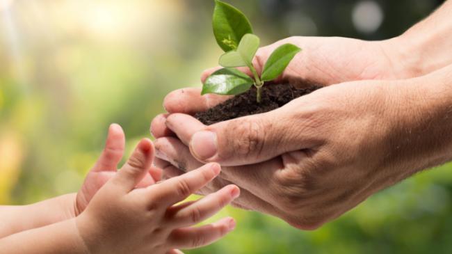 productos-higiene-bebe-ecológicos