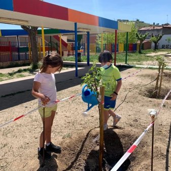  Huertos escolares de Pedrezuela y del Molar, regenerativos contra el cambio climático