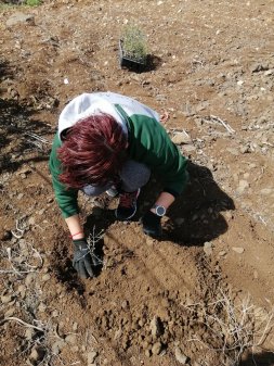 Luchando contra la desertizacion 