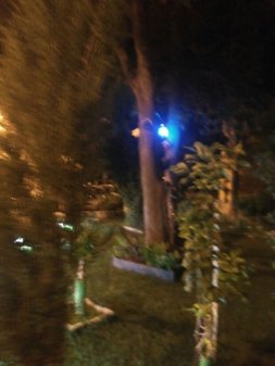 Bosque de Los Relatos del Mundo