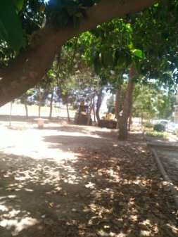 Bosque de Los Relatos del Mundo