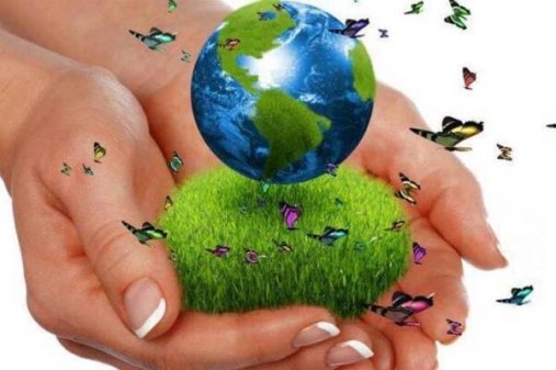 Recicla, recicla
