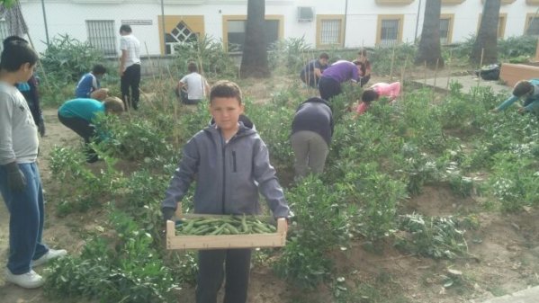 HUERTO ESCOLAR Y RECAPACICLA