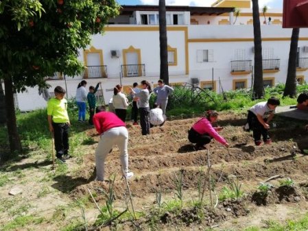 HUERTO ESCOLAR Y RECAPACICLA