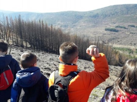 RECUPERANDO EL BOSQUE - RVRB