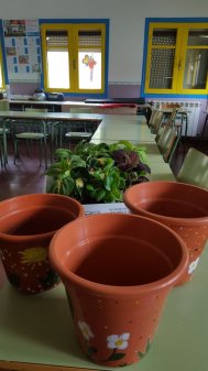 Repoblando nuestro centro-RVRB