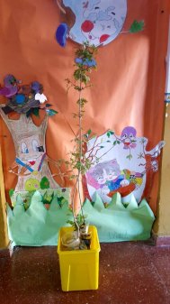 Repoblando nuestro centro-RVRB