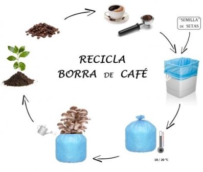De  un residuo a un alimento: RECICLA  LA  BORRA  DE  CAFÉ