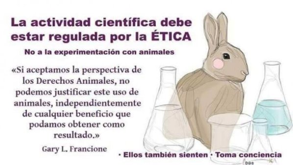 Cosmética Orgánica y ecológica