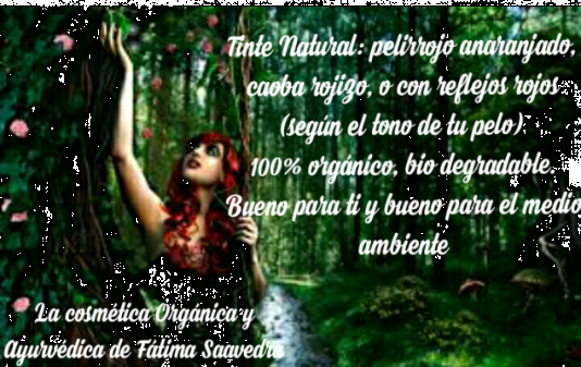 Cosmética Orgánica y ecológica