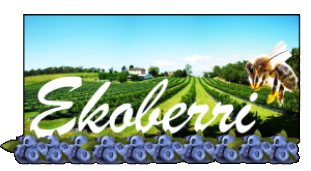 Ekoberri