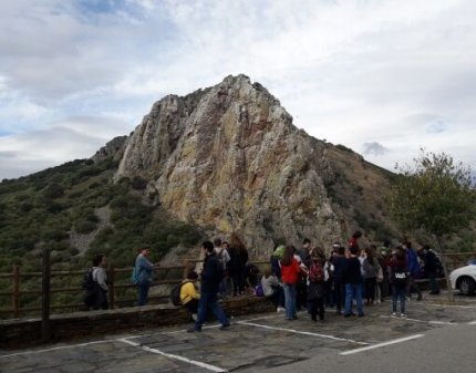 Observación de aves en el mirador 