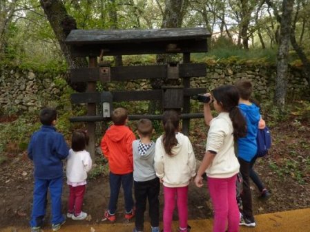 Casas refugio de fauna