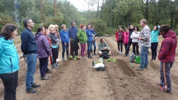 Curso de Huerto Escolar para docentes