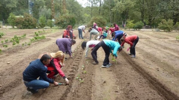 Curso de Huerto Escolar para docentes