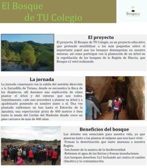 El Bosque de tú Colegio