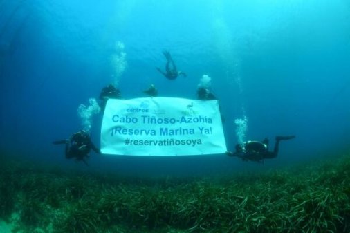 ANSE: 45 años por el medio ambiente