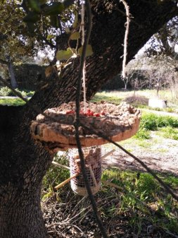 Comederos sostenibles para aves