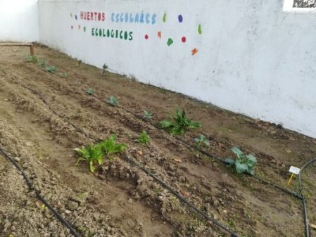 Huerto Ecológico Escolar