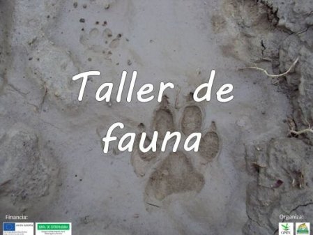 Charla Taller la Fauna de Nuestros Bosques
