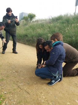 Recogida de residuos en Badajoz