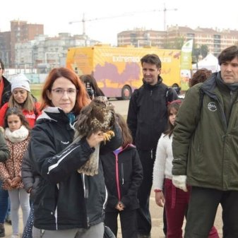 Acción en el Guadiana