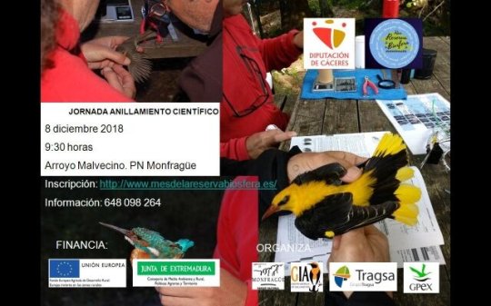 Jornada de anillamiento científica abierta al público