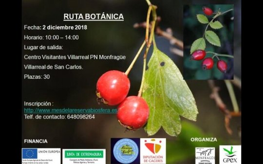 Ruta botánica