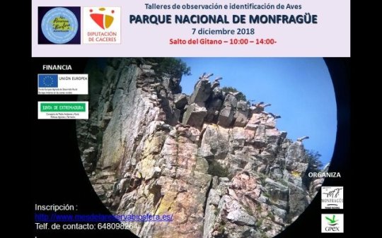 Observación e identificación de aves en el Salto del Gitano