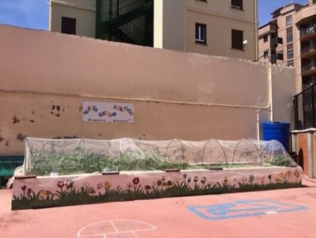 Huerto Escolar ecológico