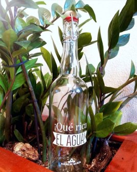 Bebe agua del grifo
