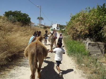 Agroecología El Borrico