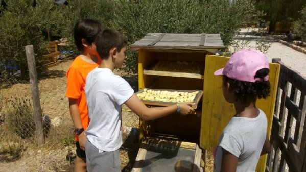 Agroecología El Borrico