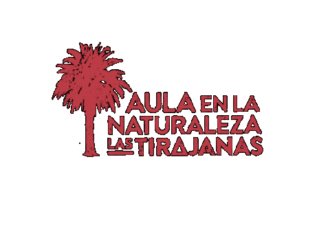 P1514 EL PALMERAL CRECE
