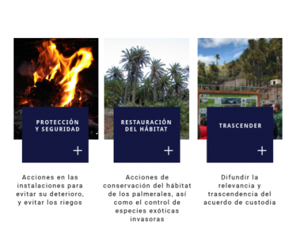 P1514 EL PALMERAL CRECE