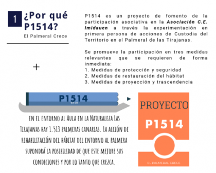 P1514 EL PALMERAL CRECE