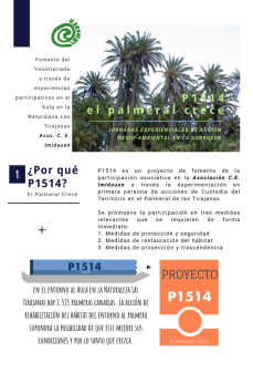 P1514 EL PALMERAL CRECE
