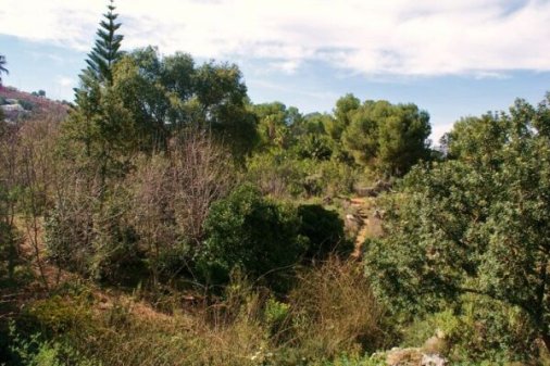 ASESORAMIENTO GRATUITO EN JARDINERÍA MEDITERRANEA