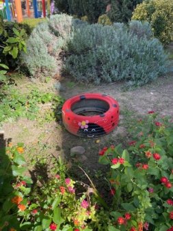 El jardín del recuerdo