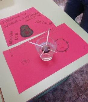 ConcienciARTE
