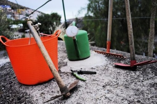 La alegría de la Huerta